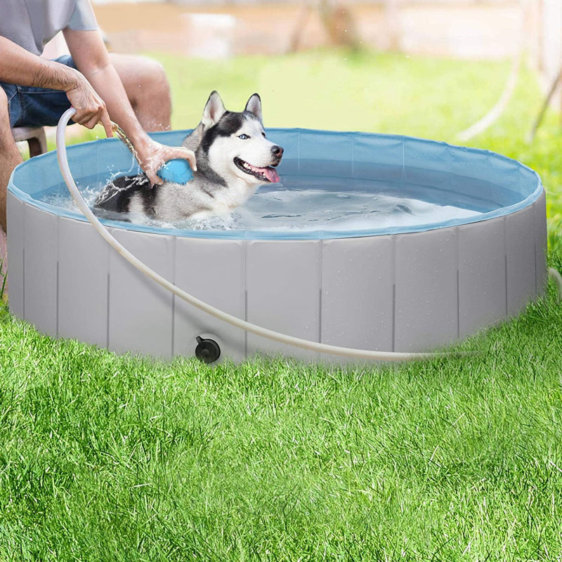 Polar Foldable Hard Plastic Extra Large Dog Pet Bath Swimming Pool